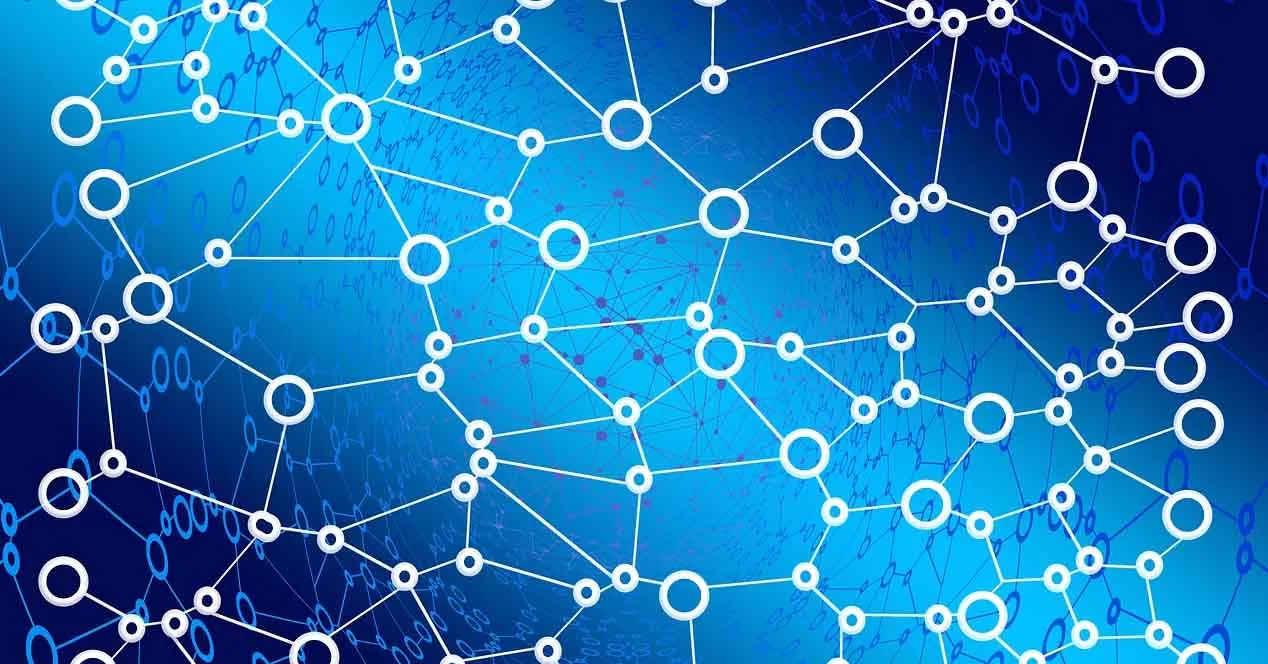 The Importance of a Strong IT Backbone Network Infrastructure